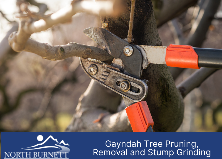 Gayndah Tree Pruning, Removal and Stump Grinding