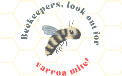 Varroa Mite Warning for Beekeepers