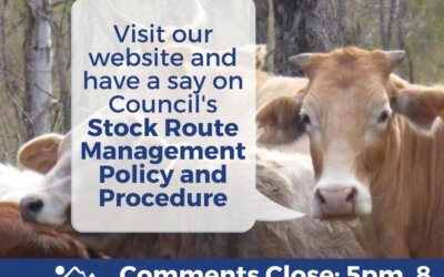 Have Your Say on Council’s Stock Route Management Policy and Procedure