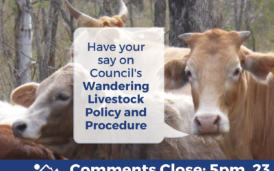 Have Your Say on Council’s Wandering Livestock Policy