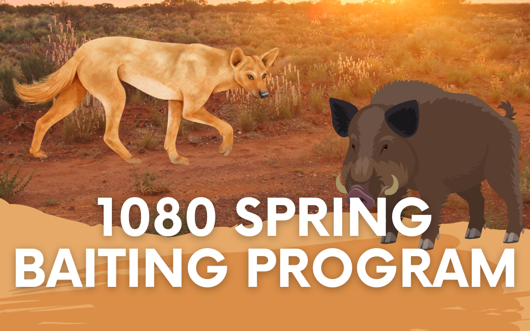 1080 Spring Baiting Program