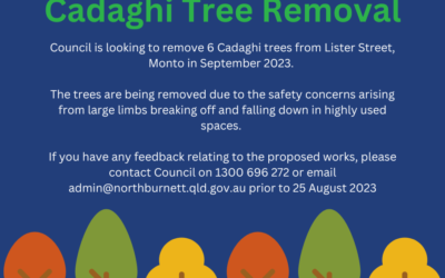 Cadaghi Tree Removal – Feedback Period