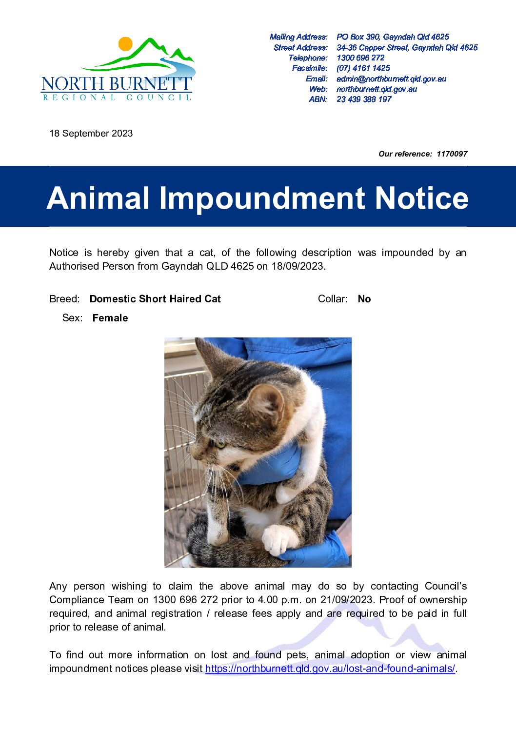 Animal Impoundment Notice – Domestic Cat – Gayndah