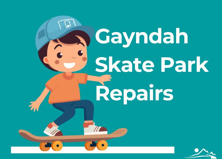 Gayndah Skate Park Repairs