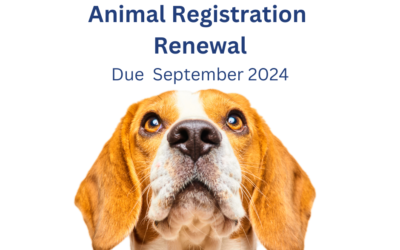 North Burnett Regional Council Animal Registration Renewals Are Due 30 September 2024