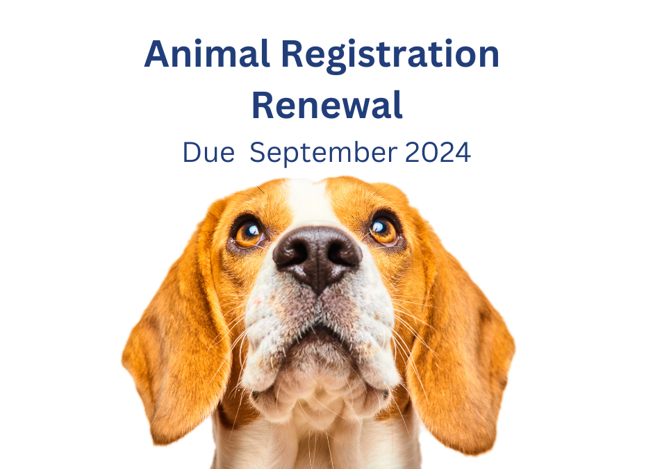  Animal Registration Renewals Are Due 30 September 2024