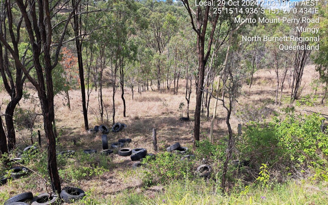 Illegally Dumped Tyres in the North Burnett