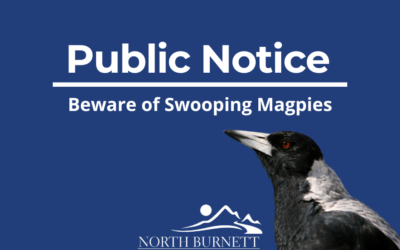 Beware of Swooping Magpies